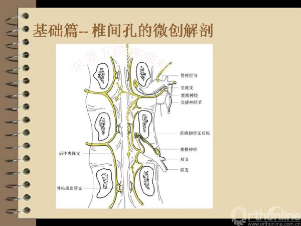 幻灯片14.PNG