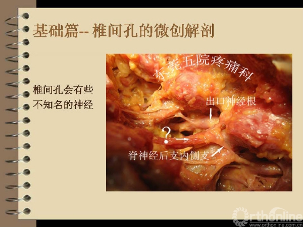 幻灯片15.PNG