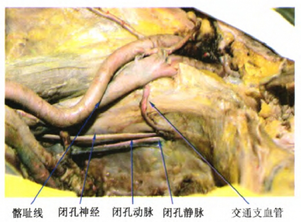 QQ截图20160329110324.jpg