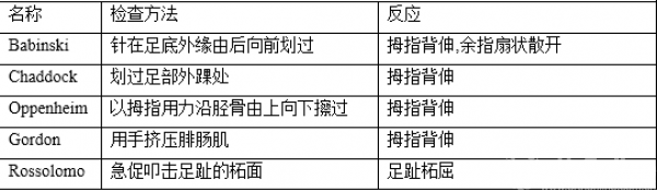 IMG_5424_副本.png