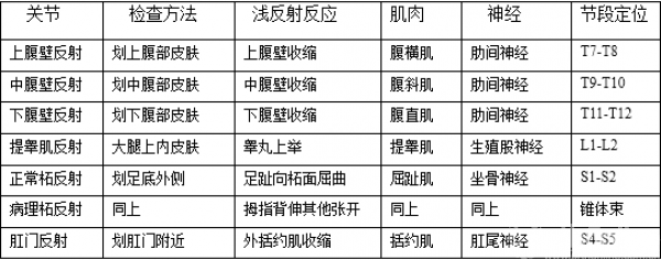 IMG_5425_副本.png