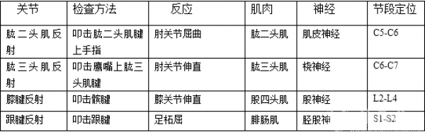IMG_5425_副本_副本.png