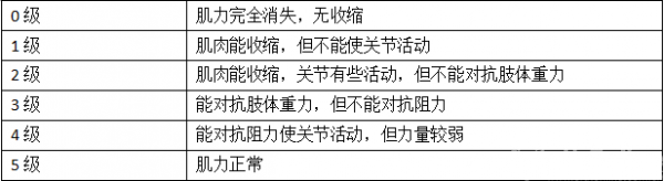 IMG_5430.PNG