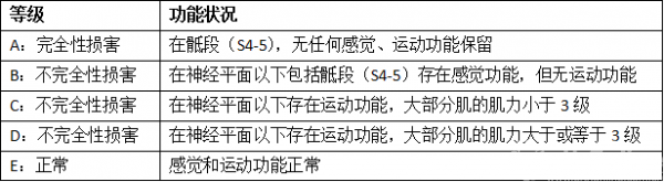 IMG_5433.PNG