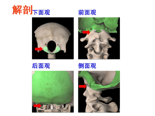 幻灯片3.PNG