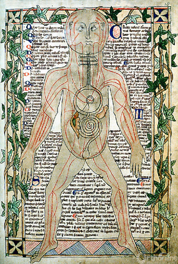 800px-13th_century_anatomical_illustration_-_sharp.jpg