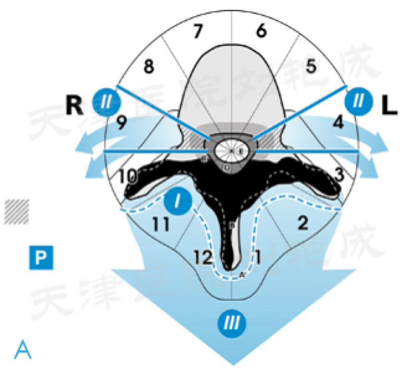 图片3_副本_副本.png