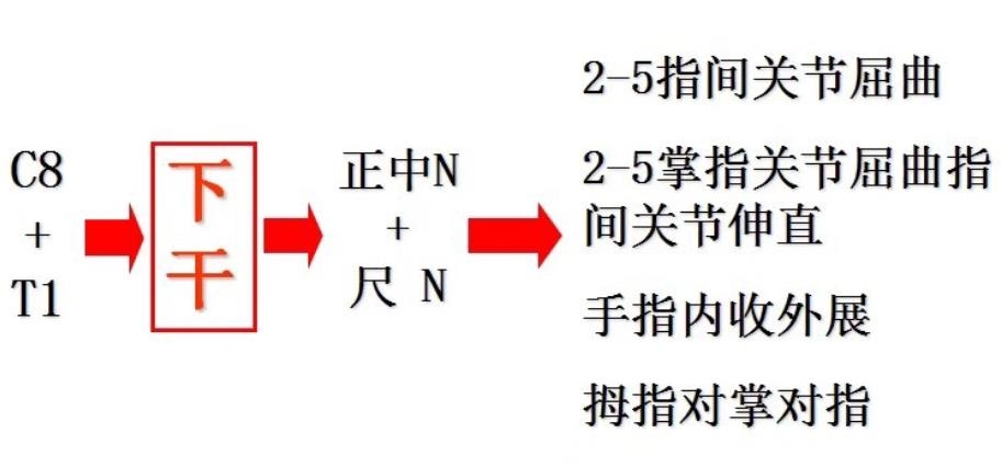 图5 (1).jpg