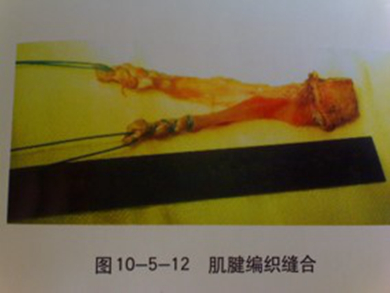 图5.jpg
